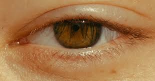 Why Is My Eyelid Twitching? Questions and Answers - The New York Times