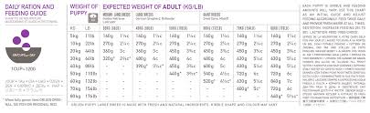 High Protein Large Breed Puppy Dog Food Orijen