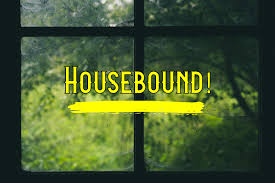 Housebound – 6 Things to do when you can't get to the Woods - NatureOutside