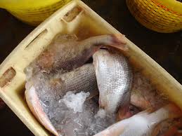 Sila klik link dibawah untuk resepi penuh. Ikan Jenahak