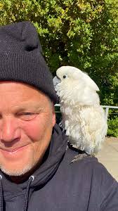 Lost and Found Bird in McPherson, Kansas