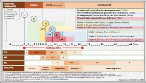 En algunas personas, los síntomas, como la falta de aire y la neumonía, pueden empeorar aproximadamente una semana. Fases De La Enfermedad Por Covid 19 Enferalba Com