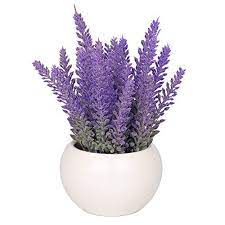 Vgia White Ceramic Artificial Potted Plant With Home Decorative Fake Lavender Flowers Want To Know More C Artificial Potted Plants Lavender Flowers Plants
