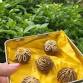 Chocolate Decorating Workshop event image
