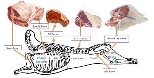 Meat Fabrication Methods The Culinary Pro