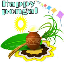 Happy Pongal Images Hd Happy Pongal Wishes Happy Pongal Wishes Images