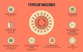 Proceedings of the vaccine prioritization committee (he). Covid 19 Vaccines Infographic Overview Features Nature Middle East