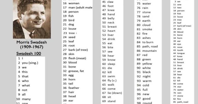 images?q=tbn:ANd9GcTjghdk3yFYRCqnTaZyz9B