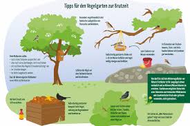 Dies ist der zeitpunkt der sommersonnenwende. Mitmachen Stunde Der Gartenvogel 2021 Nabu