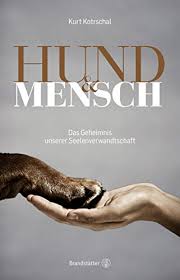 Maybe you would like to learn more about one of these? Hund Mensch Das Geheimnis Unserer Seelenverwandtschaft Ebook Kotrschal Kurt Amazon De Kindle Store