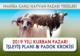 2019 Yili Kurban Pazari Isleyis Plani Padok Krokisi Manisa Ticaret Borsasi Resmi Web Sitesi