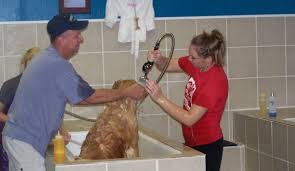 Great for pets who have problems with itching, odor. Self Service Dog Wash