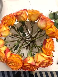 Maybe you would like to learn more about one of these? Easy Flower Arrangement In A Shallow Bowl Showit Blog