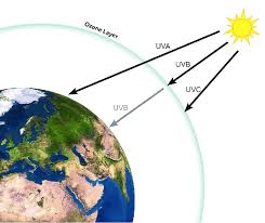 Ultraviolet rays, often going just by the name uv rays, may at first sound as some very intriguing phenomenon. Diagram Showing How Different Types Of Uv Radiation Penetrate Or Download Scientific Diagram