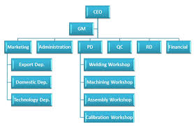 Organization Chart_lanry Instruments Shanghai Co Ltd