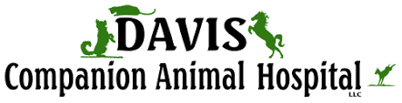 Children are welcome to visit when accompanied by an adult. Davis Companion Animal Hospital