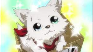 Binbougami Ga Momou Anime