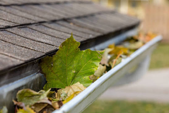 Professional property maintenance service
