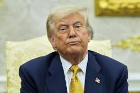 Trump slams his own supporters as 'stupid people' for falling for what he  calls the Epstein 'hoax'