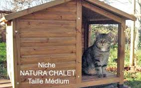 Epingle Sur Cabane D Animaux