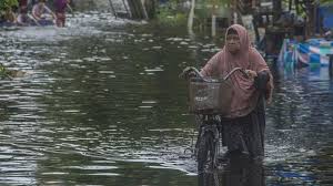 Sehingga pada banjir susulan yang terjadi di jagoi ini merupakan yang ketiga kalinya ia menambahkan, selain itu banjir yang melanda sejumlah wilayah di kabupaten bengkayang beberapa waktu terakhir ini disebabkan beberapa faktor. Banjir Di Kalsel Dipicu Berkurangnya Area Hutan Primer Dan Sekunder Klhk Penurunan Area Hutan Di Das Barito 62 8 Bbc News Indonesia