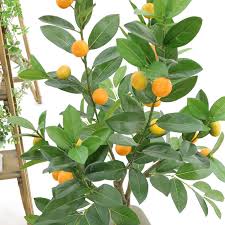 光触媒造花 フェイクグリーン 人工 観葉植物 専門メーカーによる直販店 造花ドットコム 人工観葉植物 グリーン 種類 造花
