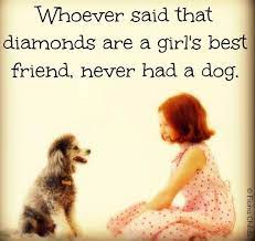 When we think of those companions who traveled by our side down life's road, let us not say with sadness that they left us behind, but rather say with gentle gratitude that they once were with us. Diamonds And Dog Quotes Quotesgram