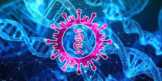 Corona Virus genetics pattern guides CVOID-19 Diagnosis assays