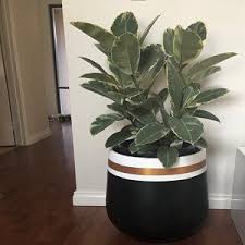 Black And White Pots For Plants Hand Painted Lightweight Indoor Plant Pot Black White Gold Stripes Con Imagenes Macetas Decoradas Macetas Pintadas Plantas Interiores