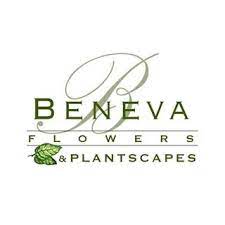 We have 6 beneva flowers coupon codes today, good for discounts at beneva.com. 20 Off At Beneva Flowers 4 Coupon Codes Jun 2021 Discounts Promos