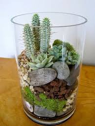 I also share my top tips for growing cacti. How To Make Cute Terrariums Craft Projects For Every Fan Succulent Garden Design Succulent Terrarium Plants