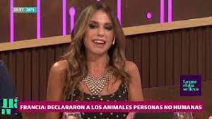 Declararon a los animales "personas no humanas" en Francia | LN+ - YouTube