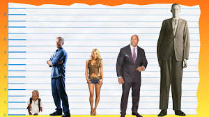 The man is closer to 5′10″. How Tall Is Paul Walker Height Comparison Youtube
