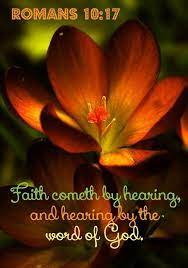 Maybe you would like to learn more about one of these? Bible Book Quiz On Twitter Beautiful Flowers Fire Flower Flowers Photography