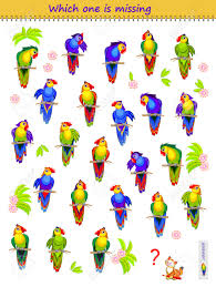 Solve these word problems, with answers included. Find The Pair For Each Parrot Which Is The Only One Logic Puzzle Game For Children
