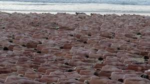 Avustralyada yüzlerce kişi çıplak poz verdi