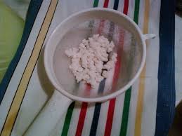 как вырастить молочный гриб с нуля в домашних условиях Kak Hranit Kefirnyj Gribok Hranim Poleznoe Kak Zamorozit Molochnyj Grib Kak Ispolzovat Molochnyj Grib Dlya Ukrepleniya Volos