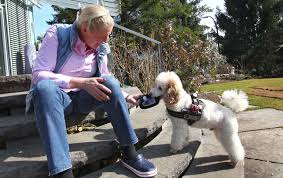 Average survival times for dogs with rectal cancer depend on the type of tumor. How Dogs Can Sniff Out Diabetes And Cancer