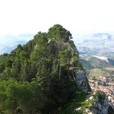 Image result for Sutera debilis