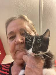 Two kittens need a home.