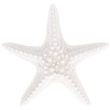 They are attached to durable, 1/4 thick, clear glass plagues. White Starfish Wall Decor Hobby Lobby 1478585