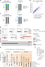 We can also put people undergoing treatment in touch with organisations that provide financial counselling and can link patients with utility providers and. Early Immune Pressure Imposed By Tissue Resident Memory T Cells Sculpts Tumour Evolution In Non Small Cell Lung Cancer Biorxiv