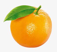 Orange Fruit Fruit Clipart Orange Fruit Fruit Photography