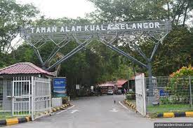 Have you ever visit kuala selangor? Menjejaki Kawasan Penting Pelbagai Spesies Burung Di Taman Alam Kuala Selangor Xplorasi Destinasi