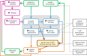 Here's a question for you: Extended Parenting And The Evolution Of Cognition Philosophical Transactions Of The Royal Society B Biological Sciences
