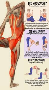 Pin On Yoga Exercises