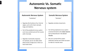 Autonomic Vs Somatic Nervous System Autonomic Nervous System Nervous System Nervous System Parts