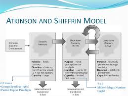 Free online quiz atkinson and shiffrin's model of memory. Long Term Short Term Memory Online Presentation