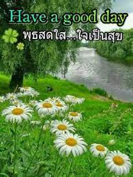 We hope this will help you to understand thai better. 16 Thai Good Morning Ideas Good Morning Good Morning Wednesday Good Morning Flowers