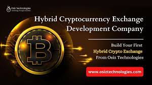 How to build bitcoin exchange website: Hybrid Cryptocurrency Exchange Development Hybrid Exchange Platform Development